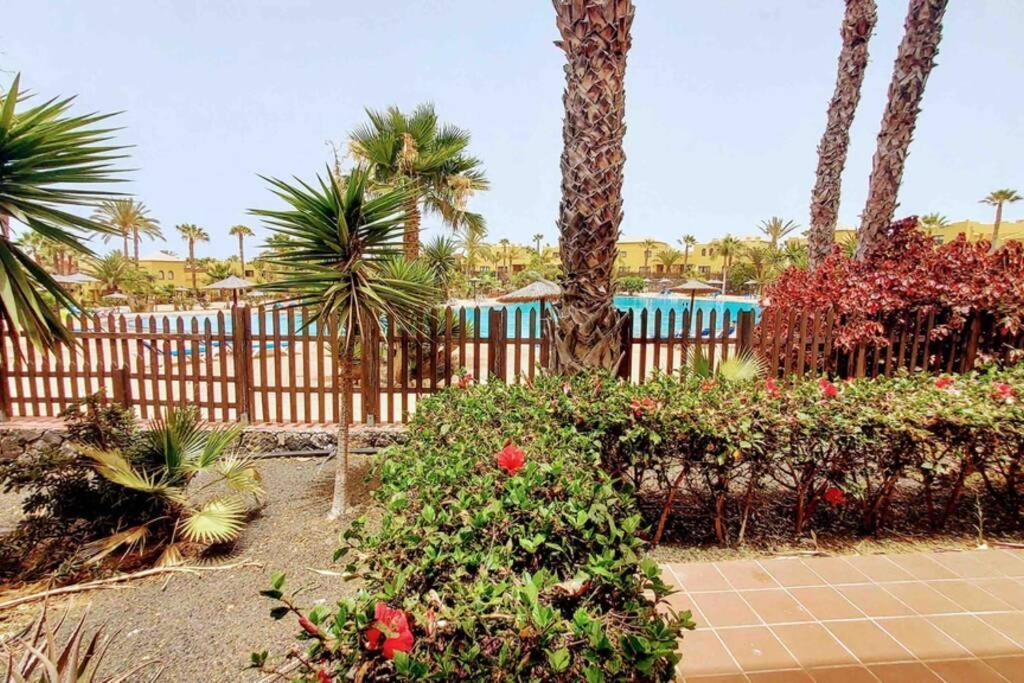 Tamarindo 28, Pool Front,Free Wifi Lejlighed Corralejo Eksteriør billede