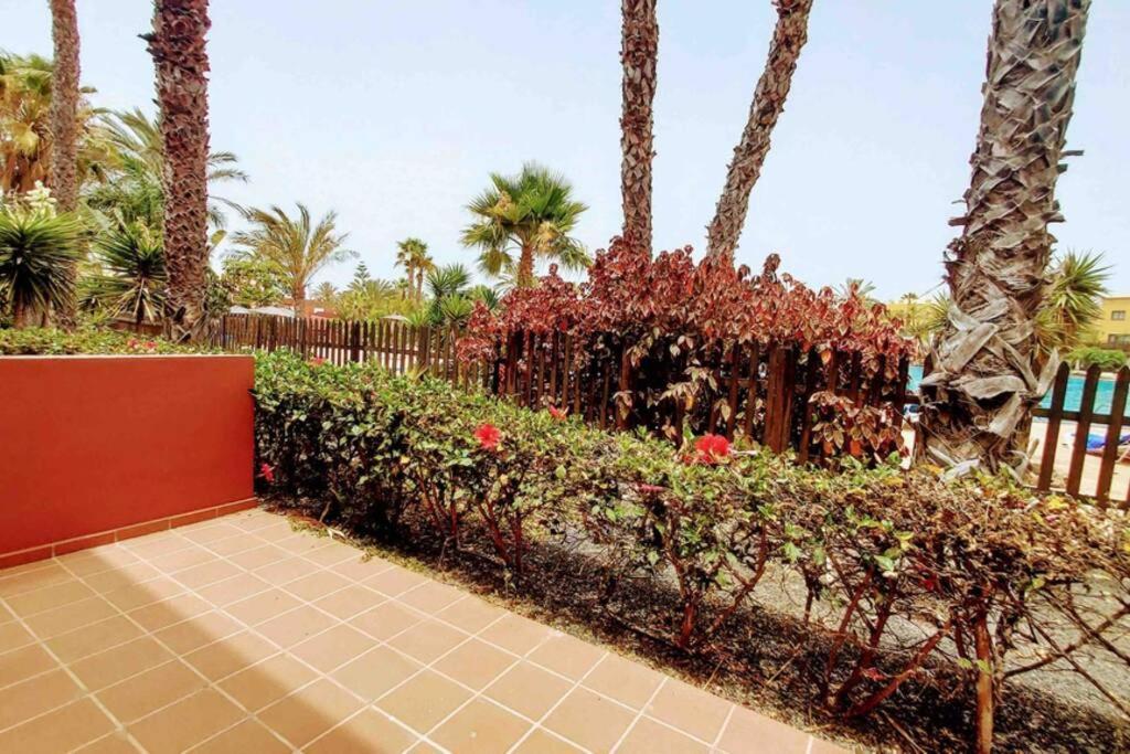 Tamarindo 28, Pool Front,Free Wifi Lejlighed Corralejo Eksteriør billede