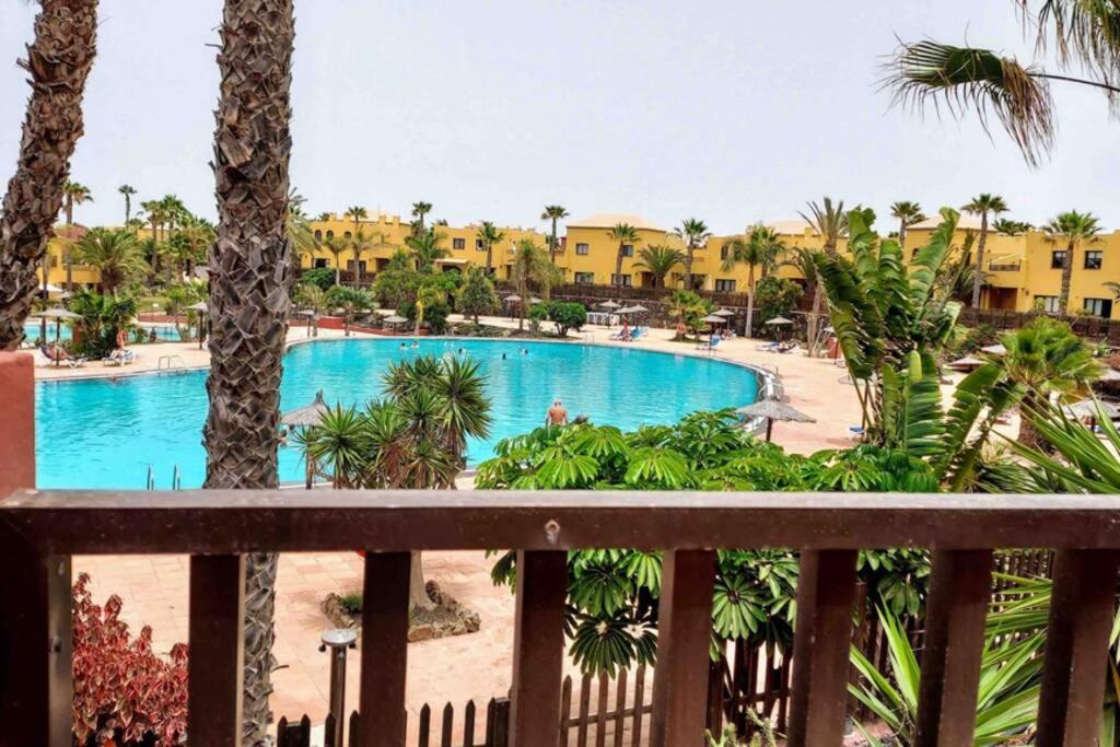 Tamarindo 28, Pool Front,Free Wifi Lejlighed Corralejo Eksteriør billede