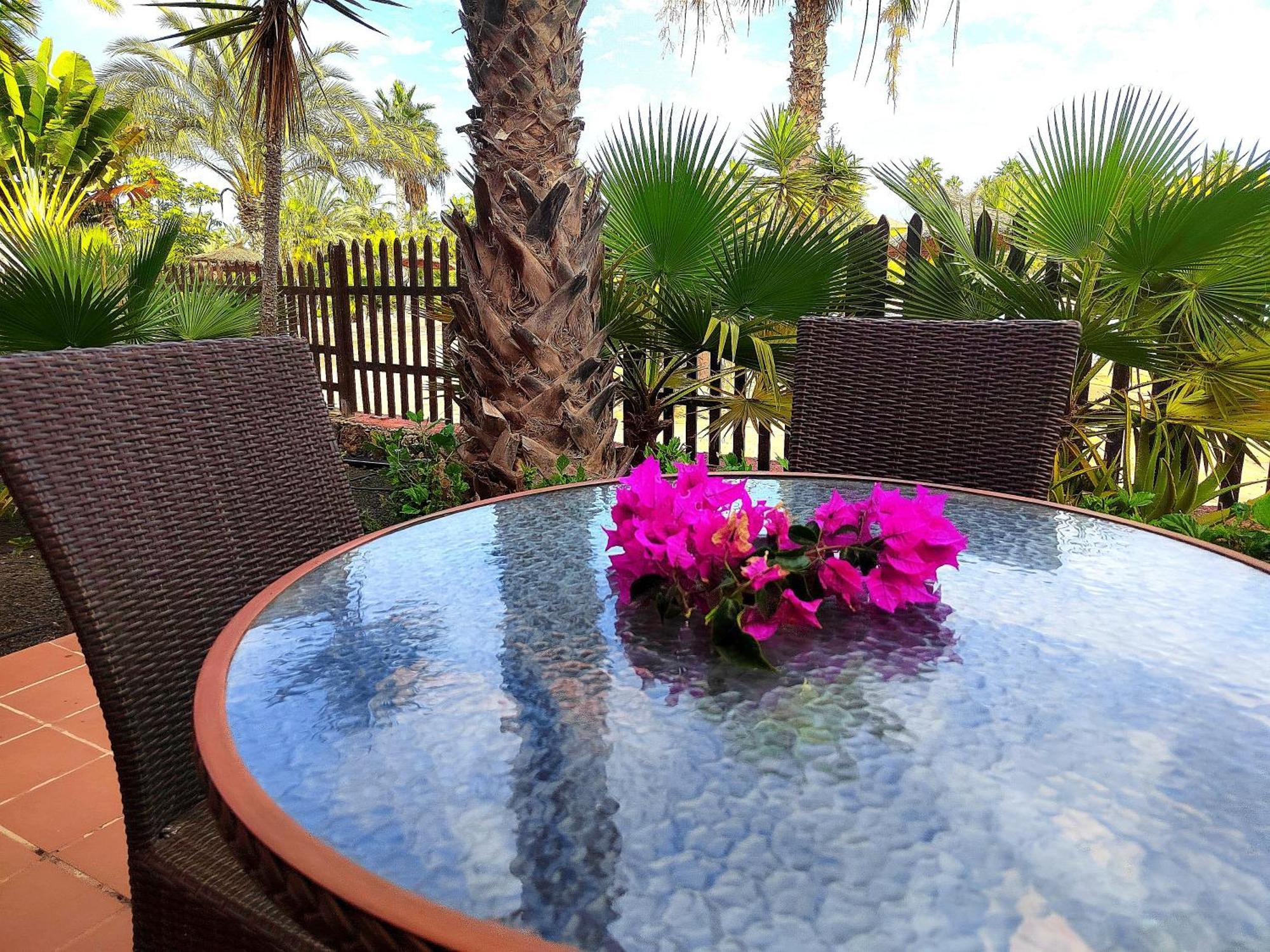 Tamarindo 28, Pool Front,Free Wifi Lejlighed Corralejo Eksteriør billede